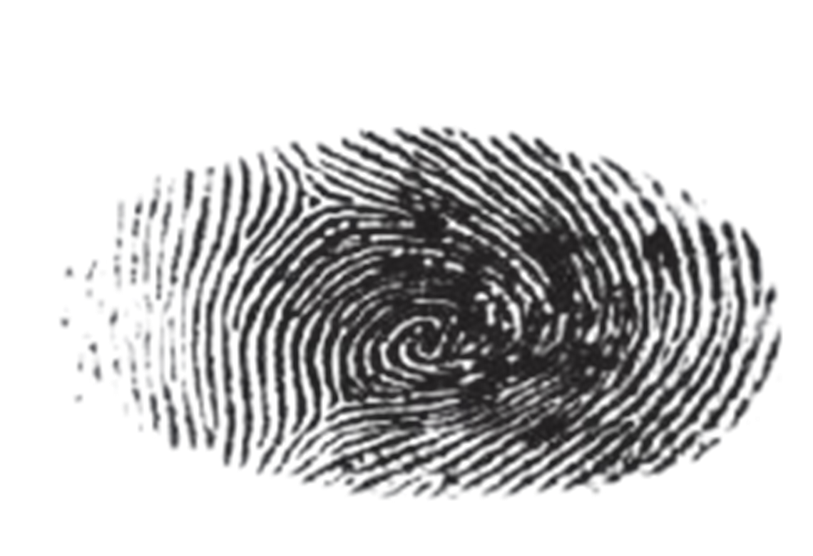Fingerprint